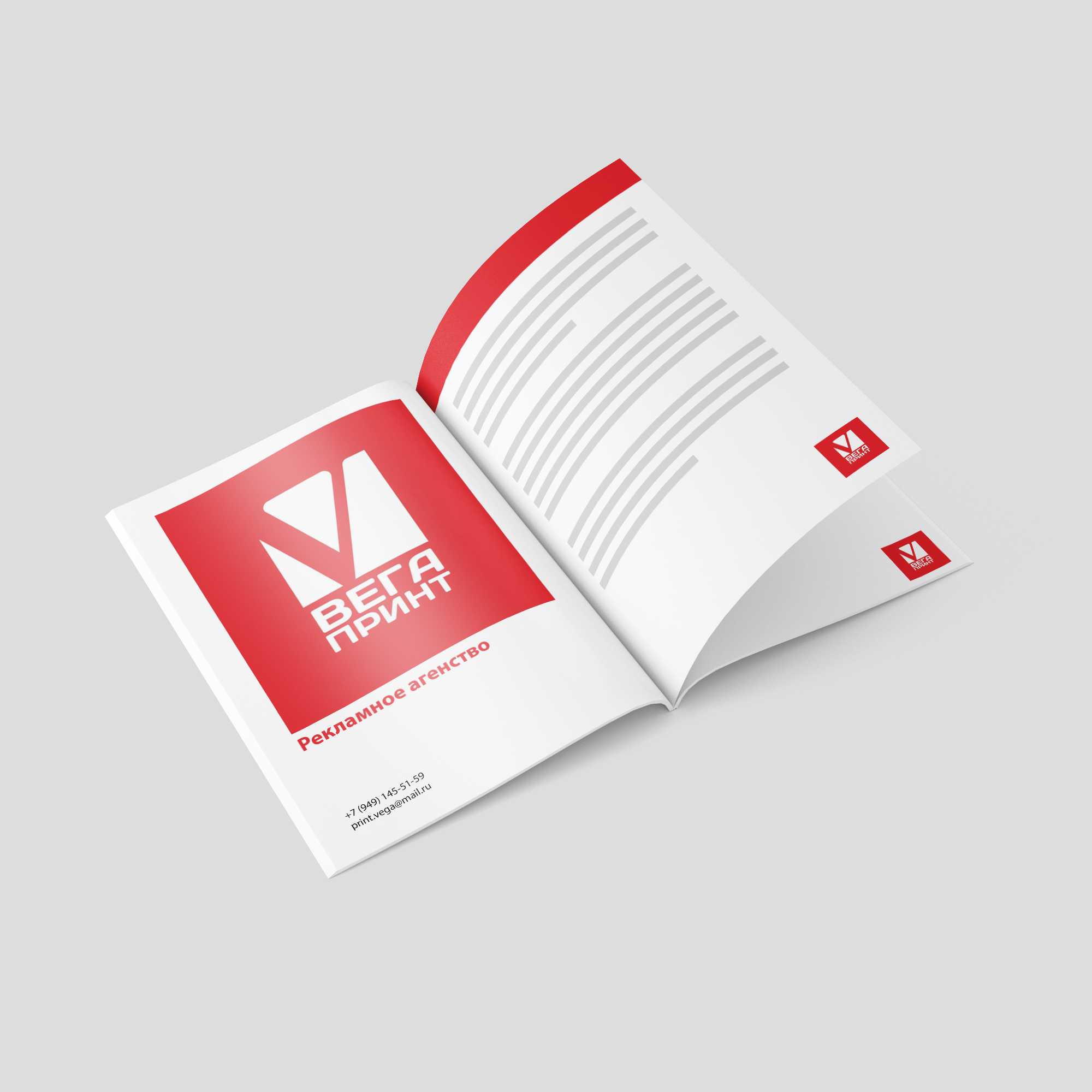 Многостраничная продукция